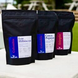 Felicissimi di presentare nuovi lotti di caffè!

francaffe. com

🇨🇴Colombia Cauca Popayan sca 85
🇨🇴Colombia Los Hibiscos
sca 84
🇪🇹Etiopia Sidana Bensa Naturale Gr 1
sca 85
#specialtycoffee #coffeelover #v60 #coffequality #espresso